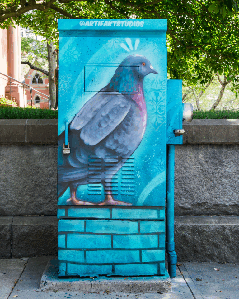 Ryan Gardell "IRYS Rocks"